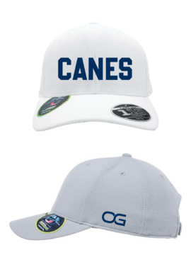 Canes White with Navy FlexFit 110 OSFA